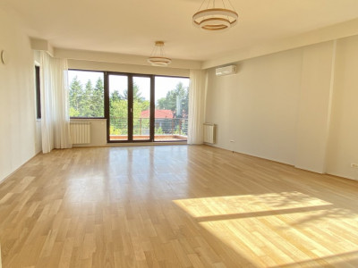 Apartament spațios 4 camere în Primăverii, de închiriat